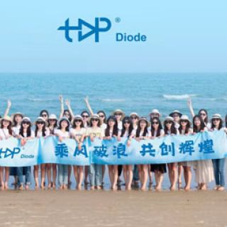 Topdiode Team-Building: Riding Waves, Forging Unity