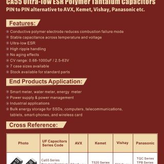 The Achilles‘ Heel of Polymer Tantalum Capacitors—The Fatal Flaw Behind High Performance